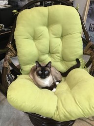 1C43340774A7FCD9_1605789020